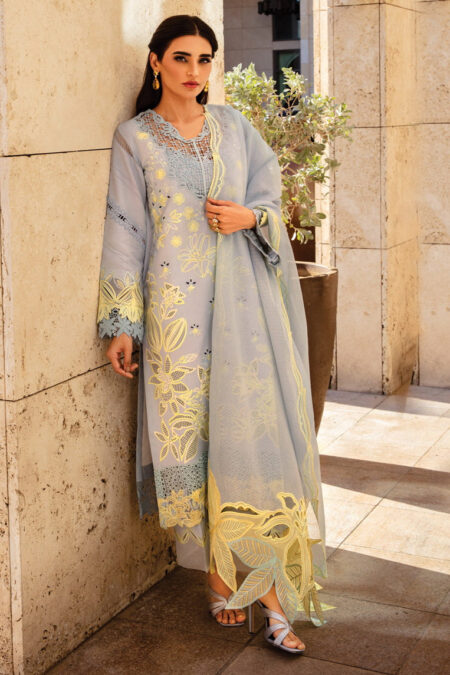Rang Rasiya D 04 Elnaz