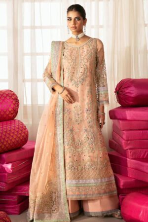 Formal Collection - Gulaal - Chaandni - Wedding - GL-WU-06-2024 - Raniya