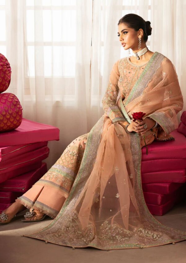 Gulaal Chaandni Gl Wu 6 Raniya Formal Collection