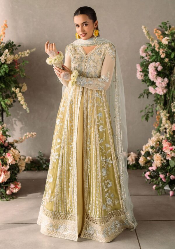 Mushq Mastani Evening Mm 06 Hira Formal Collection