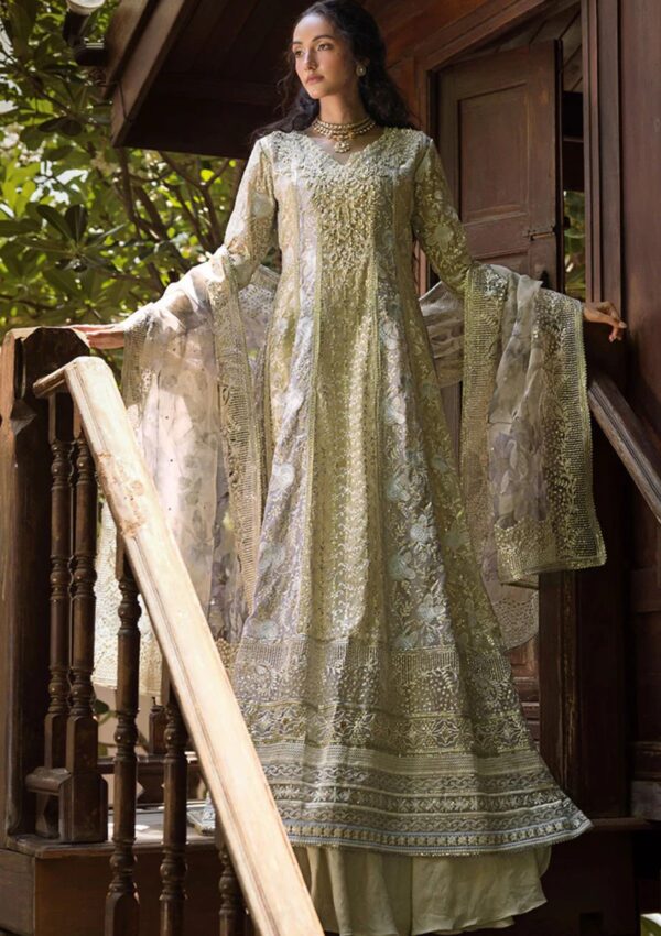 Mushq Roohi Mr 108 Riya Formal Collection