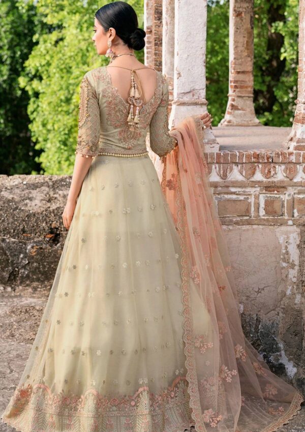 Ramsha H 202 Formal Collection