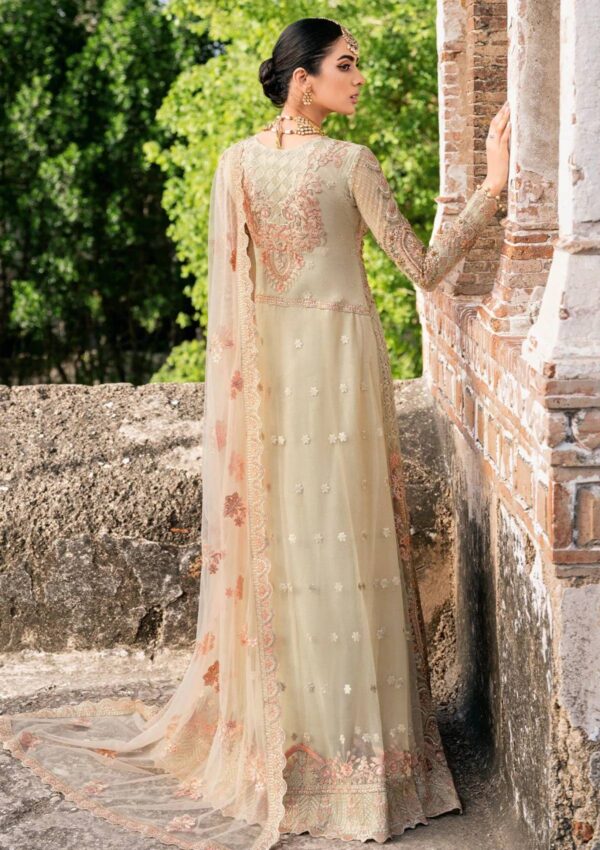 Ramsha H 202 Formal Collection