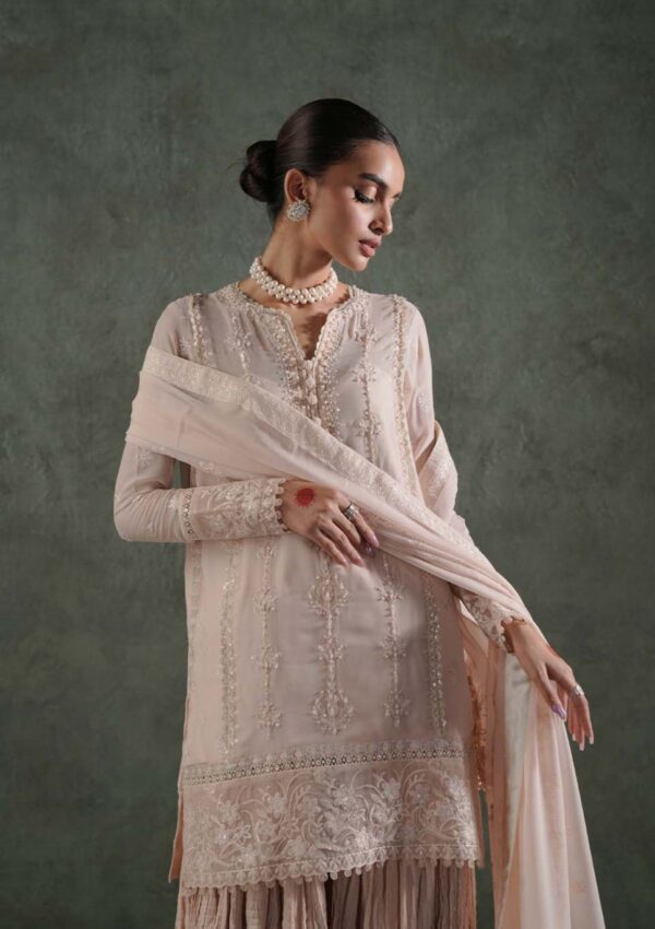 Zarqash Lakhnawi Festive Chiffon Zq 8a Haiya Formal Collection