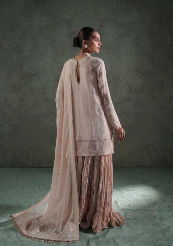 Zarqash Lakhnawi Festive Chiffon Zq 8a Haiya Formal Collection