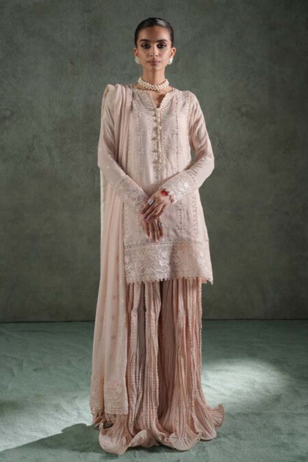 Zarqash Lakhnawi Festive Chiffon Zq 8a Haiya