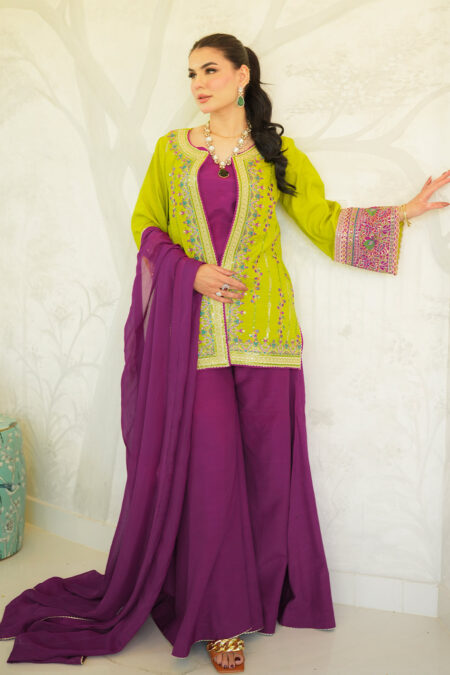 Faiza Faisal Kinza