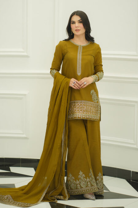 Faiza Faisal Mehru