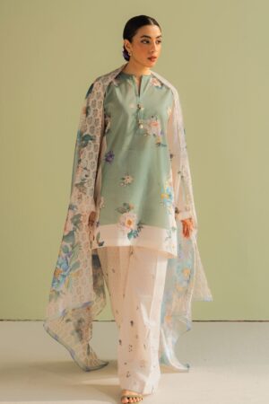 Coco By Zara Shahjahan Prints D2a Sofia Lawn Collection