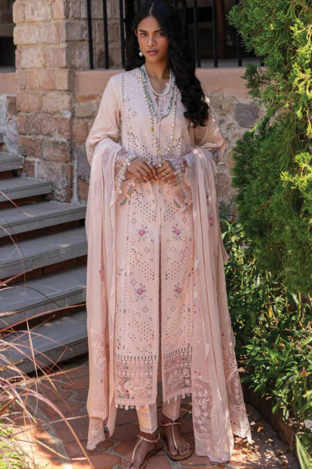 Qalamkar Qline Qm 14 Neha