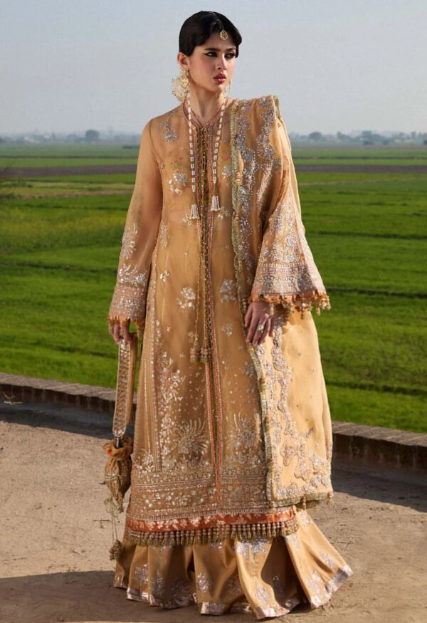 Hussain Rehar Darlings Festive Sundal Formal Collection