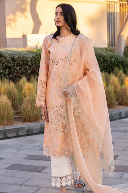 Rang Rasiya Carnation D 04 Zinnia