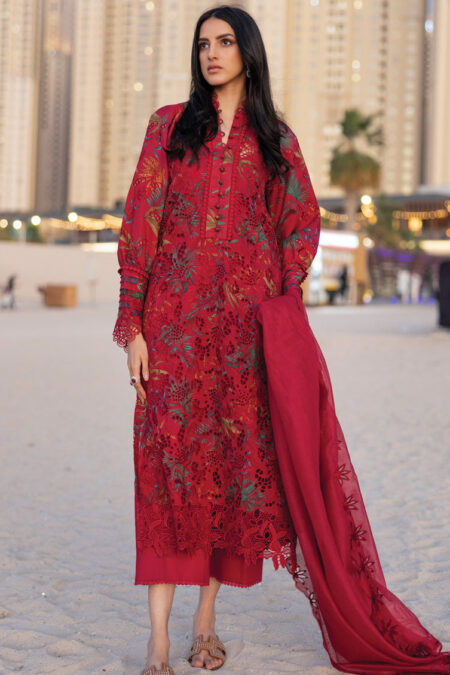 Rang Rasiya Carnation D 08 Scarlet