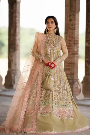 Alif Afl 06 Zyva Luxury 24
