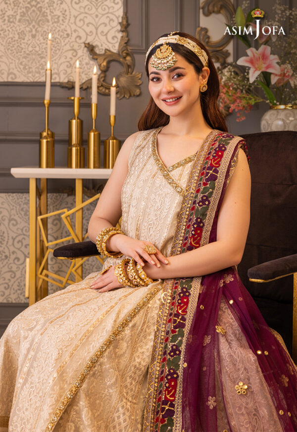 Asim Jofa Ajhj-24 Embroidered Khaddi Net