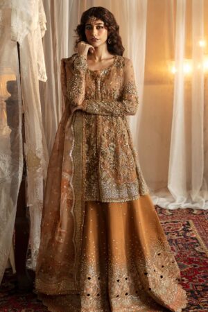Afrozeh Wedding 24 Ahw 816 Nooray Hayat