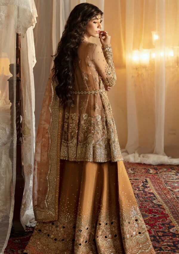 Afrozeh Wedding 24 Ahw 816 Nooray Hayat