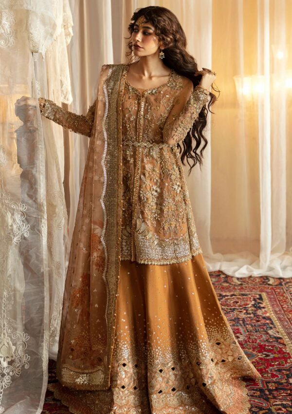 Afrozeh Wedding 24 Ahw 816 Nooray Hayat
