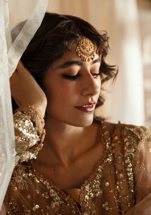 Afrozeh Wedding 24 Ahw 816 Nooray Hayat