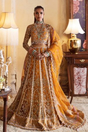 Afrozeh Kamila D 02 Hayat Wedding