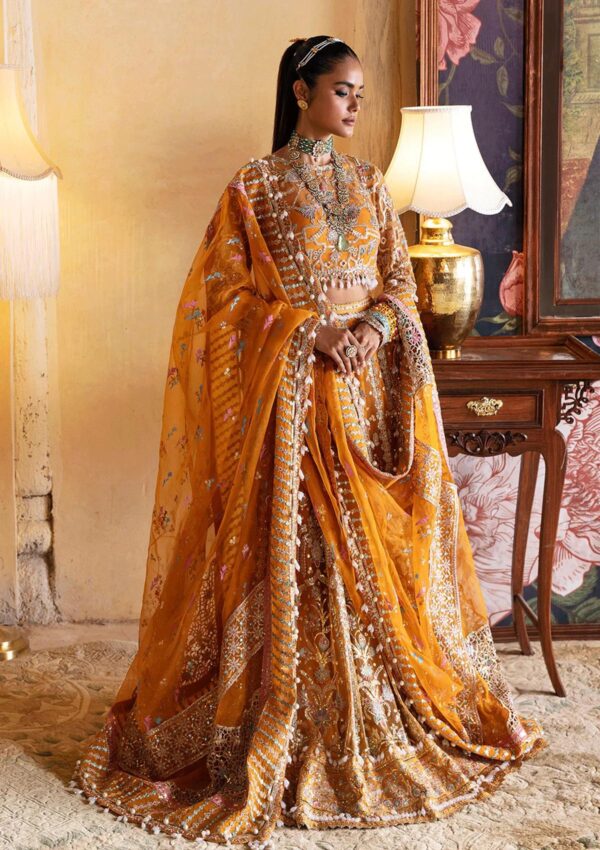 Afrozeh Kamila D 02 Hayat Wedding