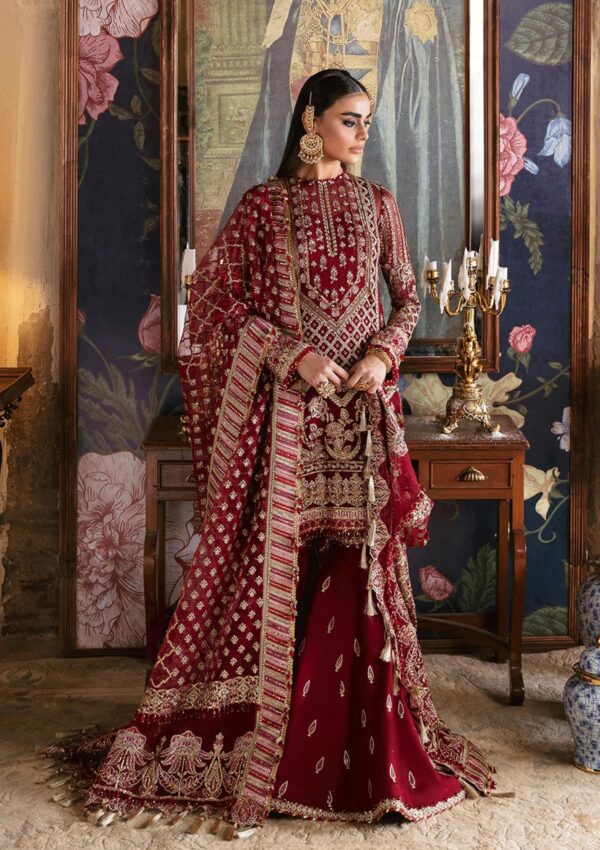 Afrozeh Dabeer D 04 Hayat Wedding