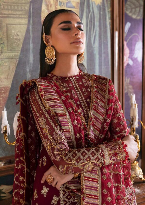 Afrozeh Dabeer D 04 Hayat Wedding
