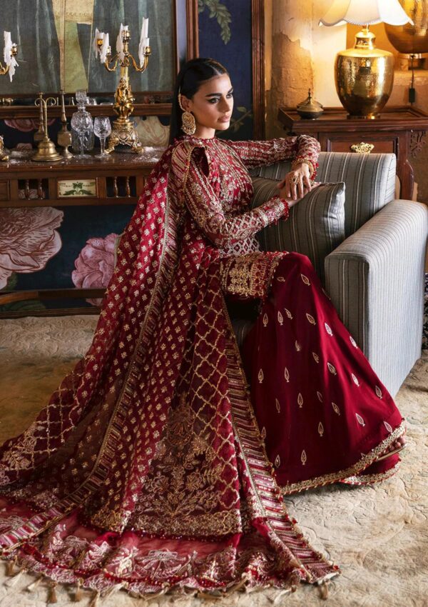 Afrozeh Dabeer D 04 Hayat Wedding