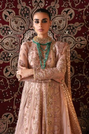 Afrozeh Rubab D 06 Hayat Wedding