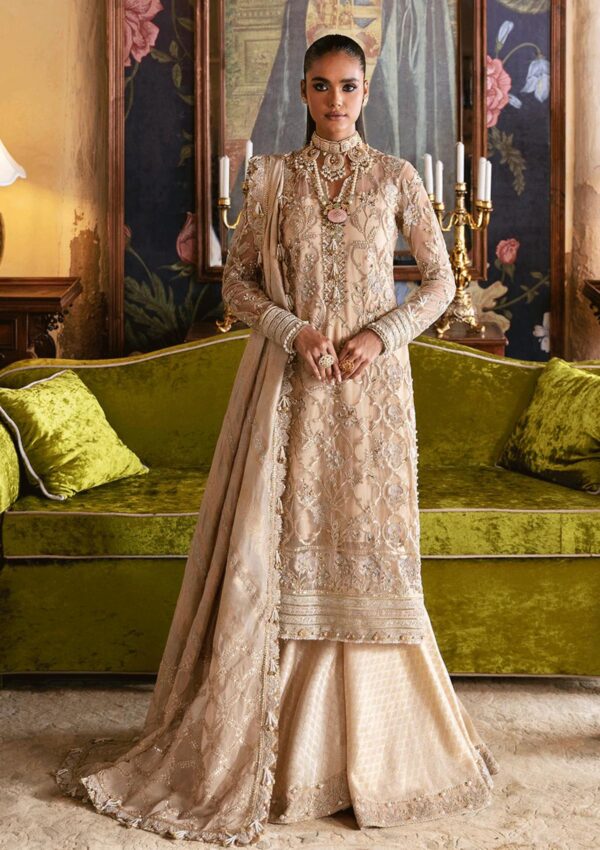 Afrozeh Sabat D 01 Hayat Wedding