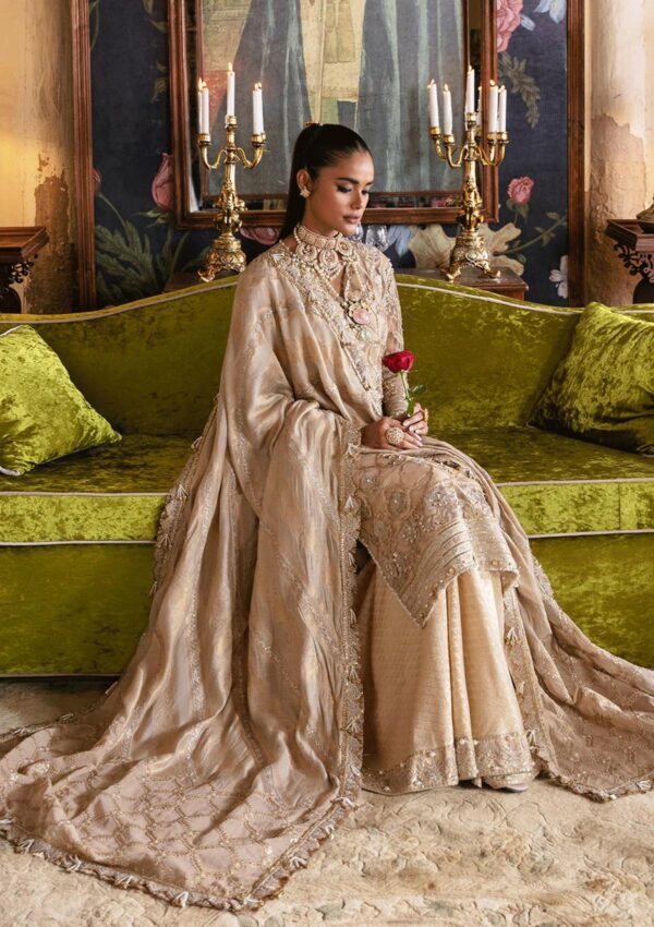 Afrozeh Sabat D 01 Hayat Wedding