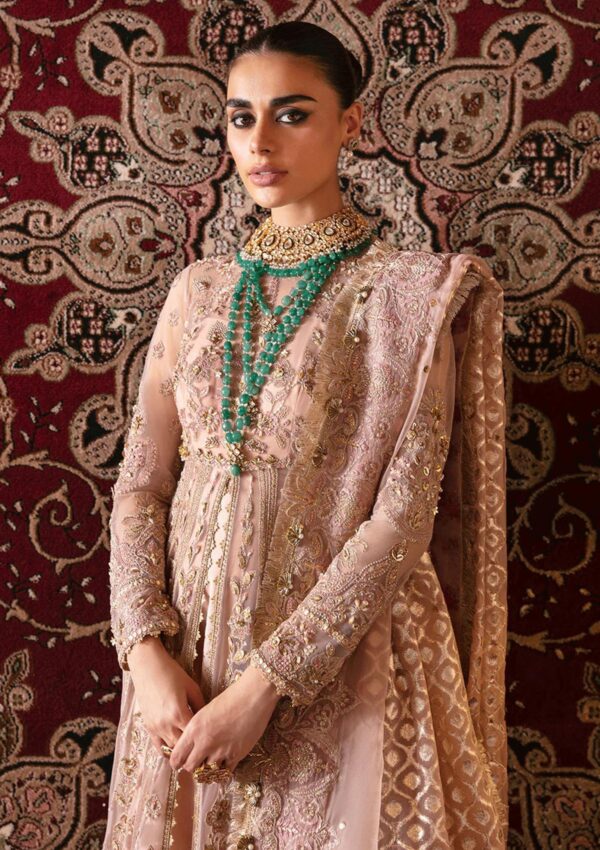 Afrozeh Rubab D 06 Hayat Wedding