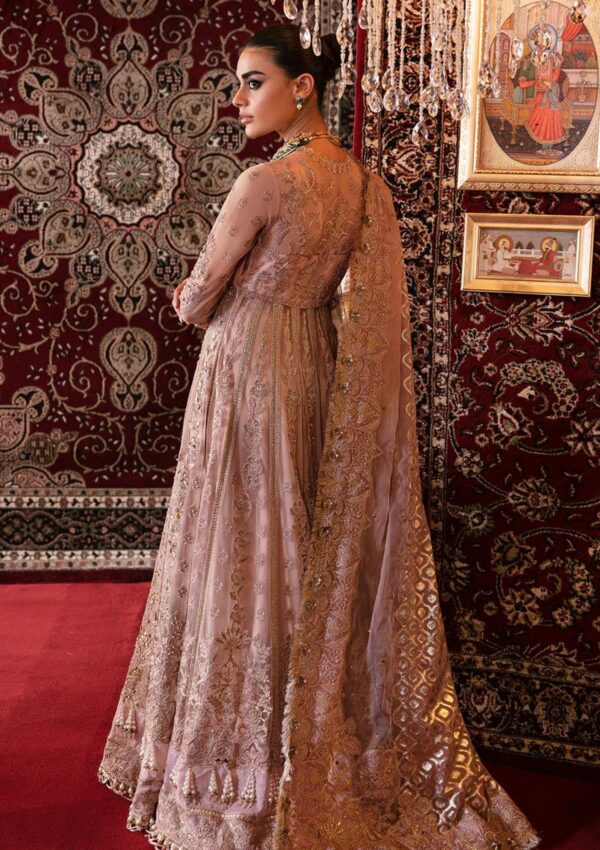 Afrozeh Rubab D 06 Hayat Wedding
