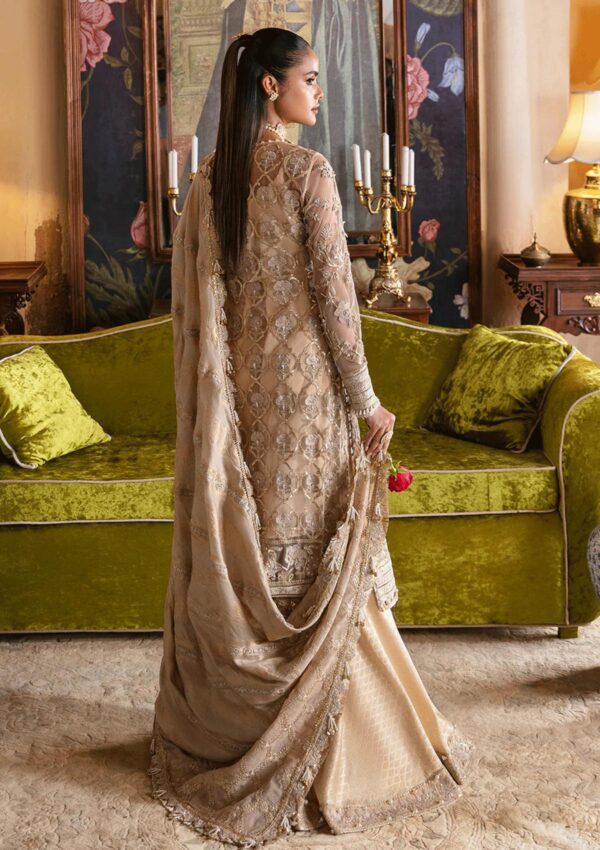 Afrozeh Sabat D 01 Hayat Wedding