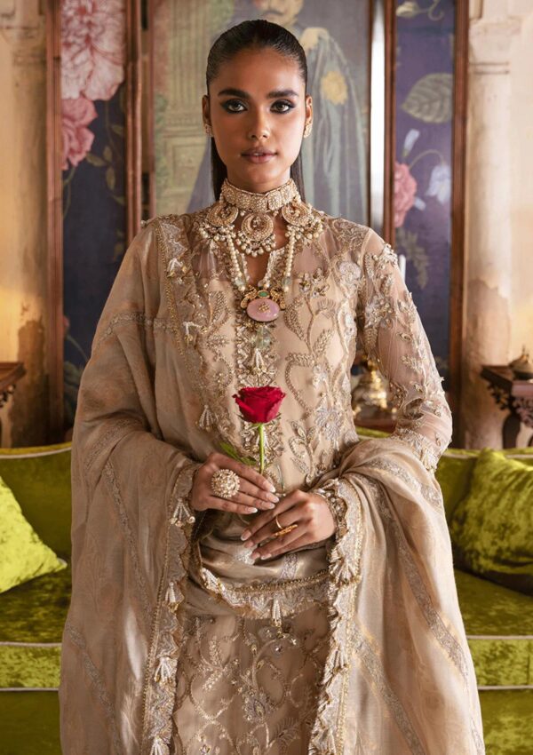 Afrozeh Sabat D 01 Hayat Wedding
