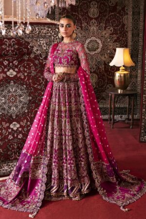 Afrozeh Abir D 10 Hayat Wedding