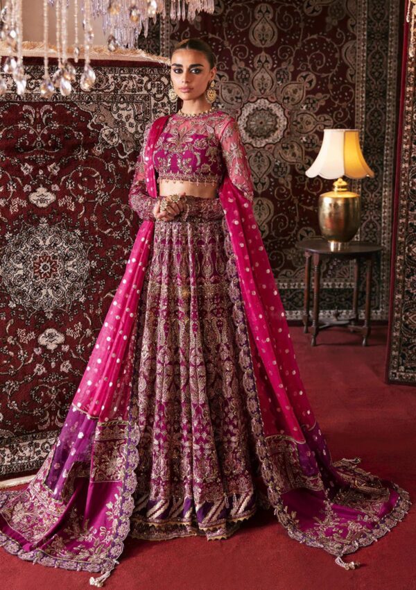 Afrozeh Abir D 10 Hayat Wedding