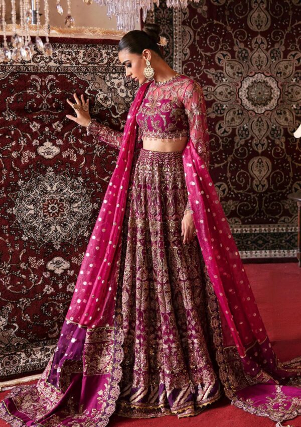 Afrozeh Abir D 10 Hayat Wedding