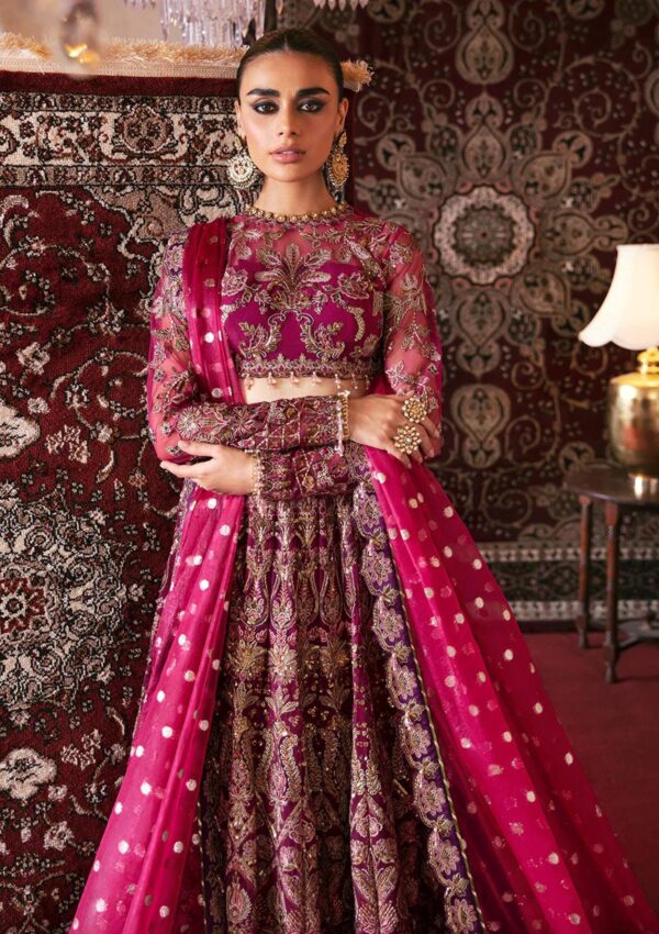 Afrozeh Abir D 10 Hayat Wedding