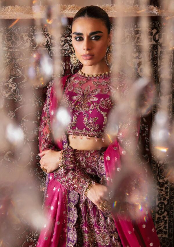 Afrozeh Abir D 10 Hayat Wedding