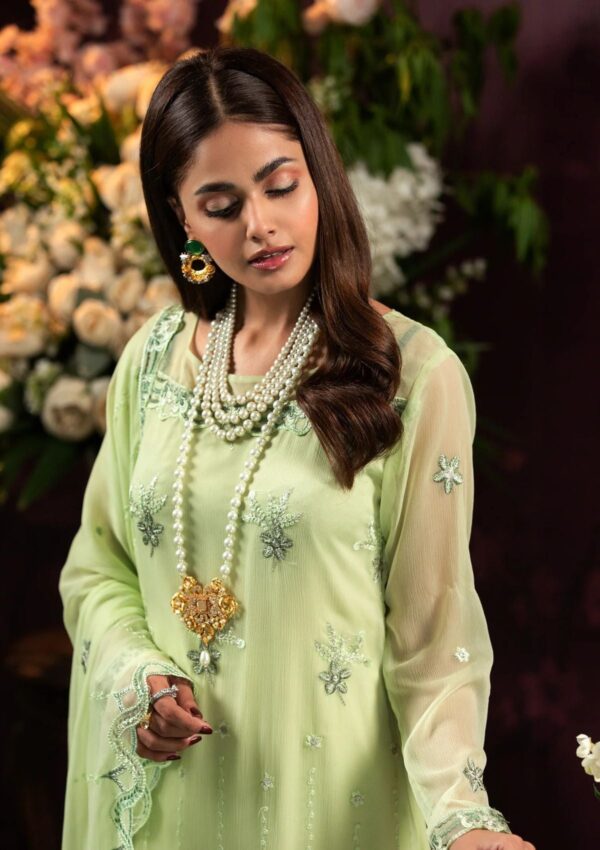 Al Zohaib D 05 Chiffon Unstitched