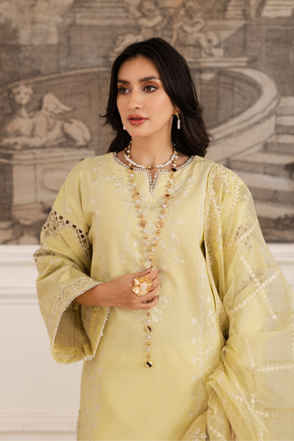 Maryum N Maria Hayat Fs50104 Mira Luxury Lawn Collection - Image 2