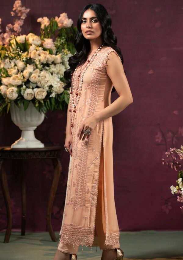 Al Zohaib D 06 Chiffon Unstitched