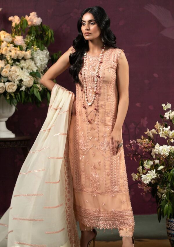 Al Zohaib D 06 Chiffon Unstitched
