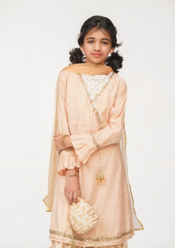 Abar D 10021 Festive 24 Kids Collection - Image 2