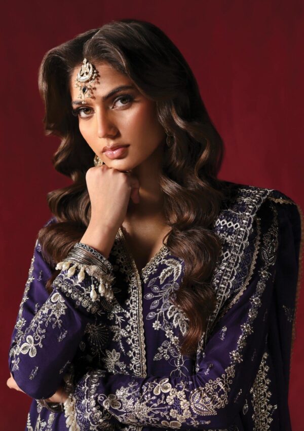 Afrozeh The Silk Edit As V3 24 01 Kaneez Divani Formal Collection - Image 2