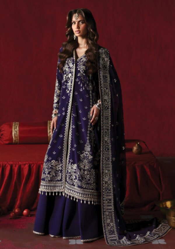 Afrozeh The Silk Edit As V3 24 01 Kaneez Divani Formal Collection