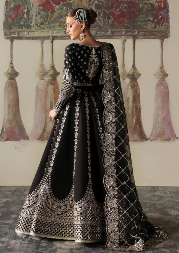 Afrozeh The Silk Edit As V3 24 06 Husnara Divani Formal Collection - Image 2