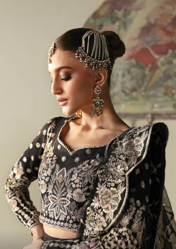 Afrozeh The Silk Edit As V3 24 06 Husnara Divani Formal Collection - Image 3