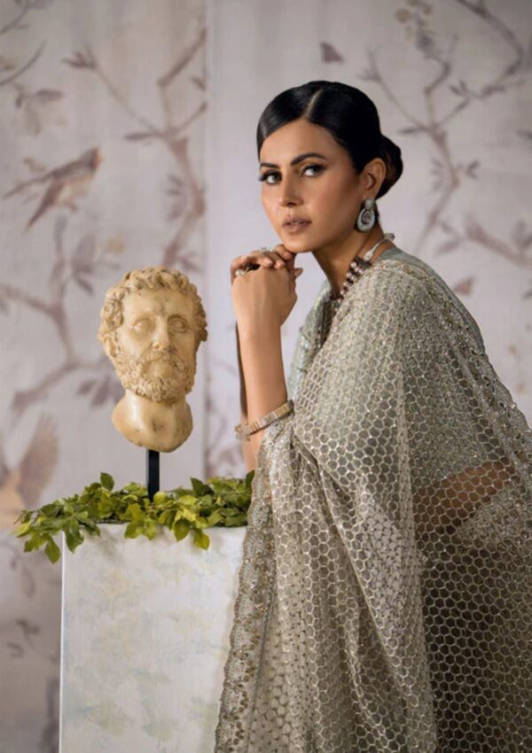 Aik Atelier Look 03 Sari Edit Formal Collection - Image 3